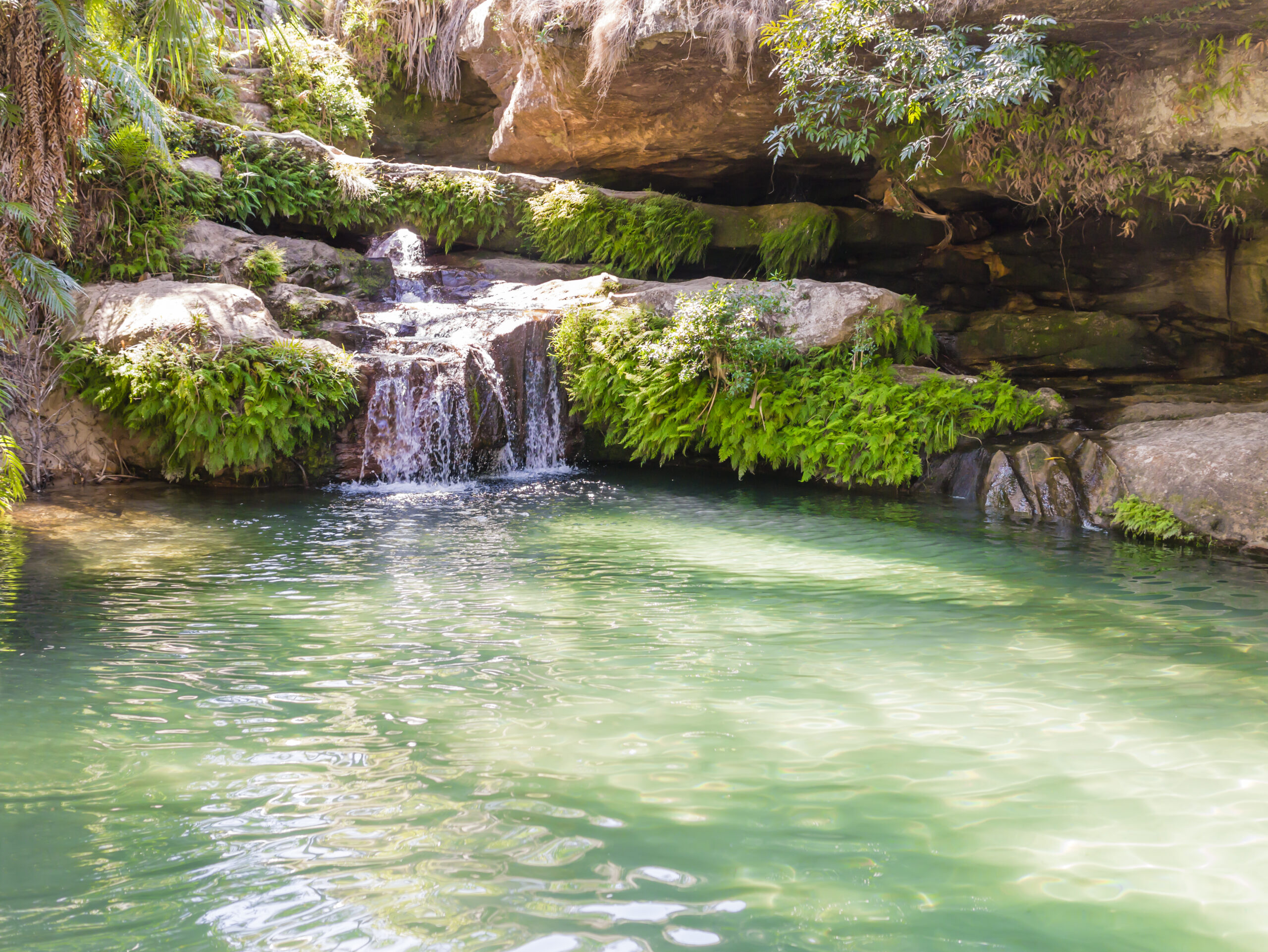 La piscine naturelle, a palm-fringed pool constantly fed by a crystalline waterfall, Isalo National Park, Madagascar